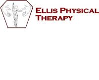Ellis Physical Therapy image 1